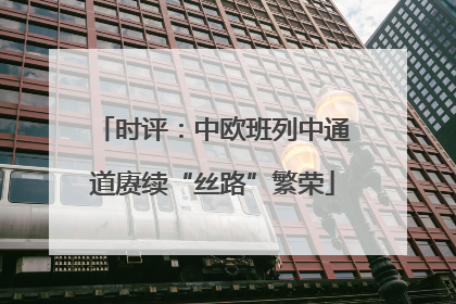 时评：中欧班列中通道赓续“丝路”繁荣