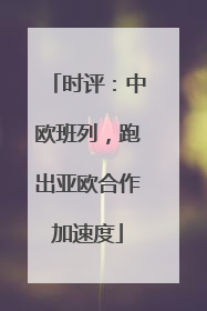 时评：中欧班列，跑出亚欧合作加速度