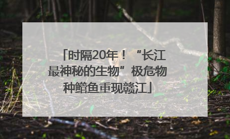 时隔20年！“长江最神秘的生物”极危物种鳤鱼重现赣江