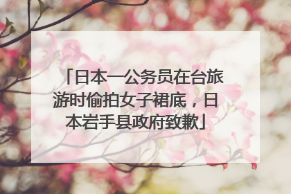日本一公务员在台旅游时偷拍女子裙底，日本岩手县政府致歉