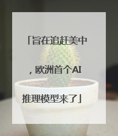 旨在追赶美中，欧洲首个AI推理模型来了