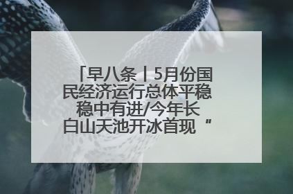 早八条丨5月份国民经济运行总体平稳 稳中有进/今年长白山天池开冰首现“文武双全”奇观