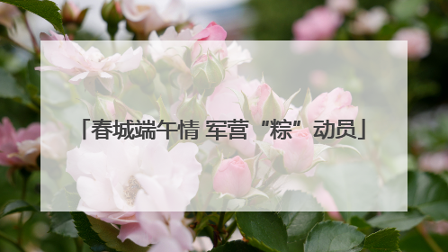 春城端午情 军营“粽”动员