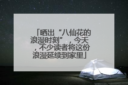 晒出“八仙花的浪漫时刻”，今天，不少读者将这份浪漫延续到家里