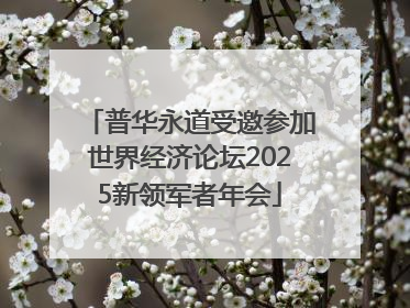 普华永道受邀参加世界经济论坛2025新领军者年会