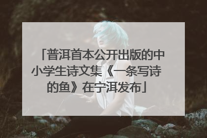 普洱首本公开出版的中小学生诗文集《一条写诗的鱼》在宁洱发布