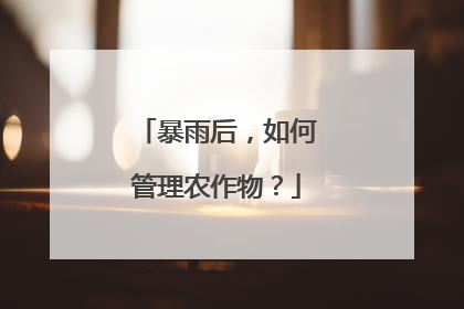 暴雨后，如何管理农作物？