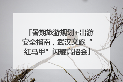 暑期旅游规划+出游安全指南，武汉文旅“红马甲”闪耀高招会