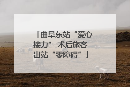 曲阜东站“爱心接力” 术后旅客出站“零障碍”