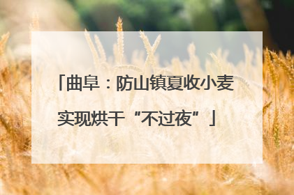 曲阜：防山镇夏收小麦实现烘干“不过夜”