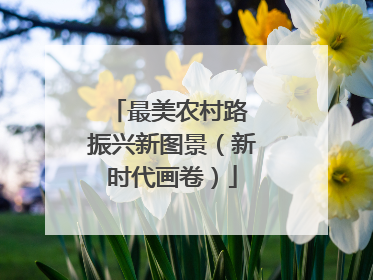 最美农村路 振兴新图景（新时代画卷）