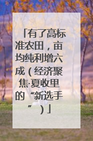 有了高标准农田，亩均纯利增六成（经济聚焦·夏收里的“新选手”）