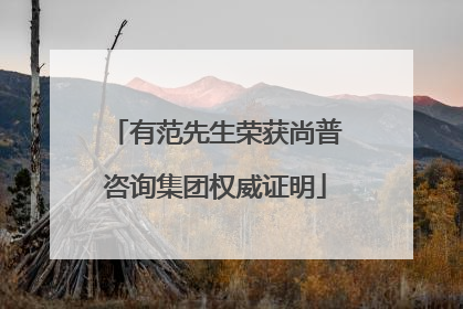 有范先生荣获尚普咨询集团权威证明