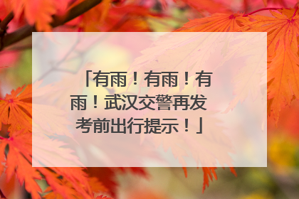 有雨！有雨！有雨！武汉交警再发考前出行提示！