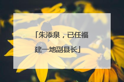 朱添泉，已任福建一地副县长