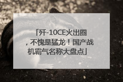 歼-10CE火出圈，不愧是猛龙！国产战机霸气名称大盘点