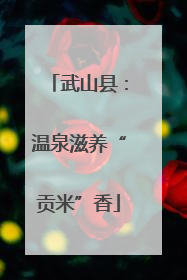 武山县：温泉滋养“贡米”香