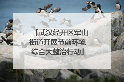 武汉经开区军山街道开展节前环境综合大整治行动