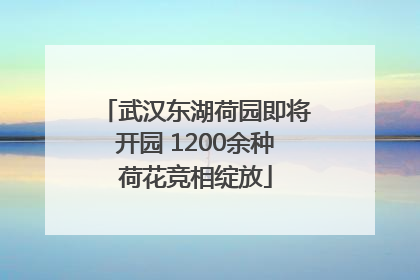 武汉东湖荷园即将开园 1200余种荷花竞相绽放
