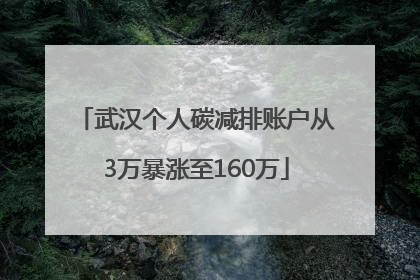 武汉个人碳减排账户从3万暴涨至160万
