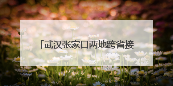 武汉张家口两地跨省接力，走失的孩子回家了