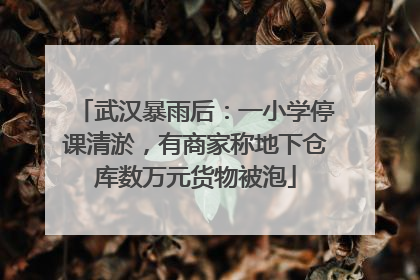 武汉暴雨后：一小学停课清淤，有商家称地下仓库数万元货物被泡