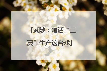武陟：唱活“三夏”生产这台戏