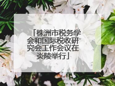 株洲市税务学会和国际税收研究会工作会议在炎陵举行