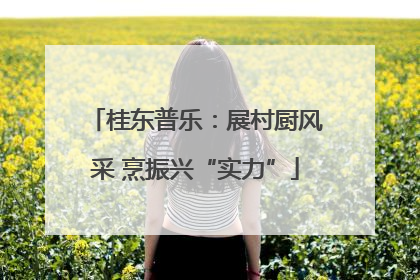 桂东普乐：展村厨风采 烹振兴“实力”