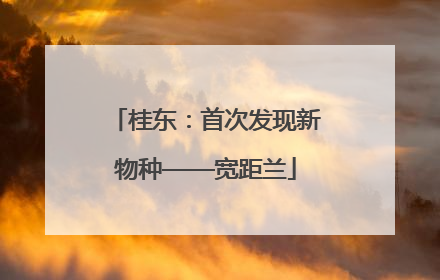 桂东：首次发现新物种——宽距兰