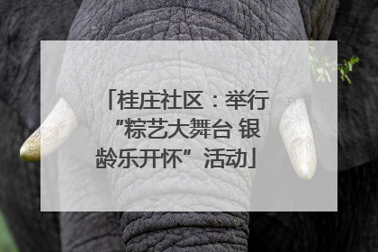 桂庄社区：举行“粽艺大舞台 银龄乐开怀”活动