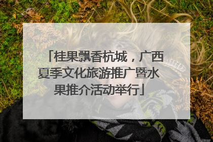 桂果飘香杭城，广西夏季文化旅游推广暨水果推介活动举行