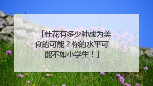 桂花有多少种成为美食的可能？你的水平可能不如小学生！