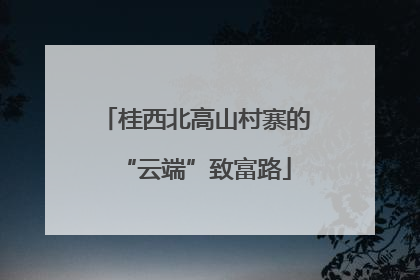 桂西北高山村寨的“云端”致富路