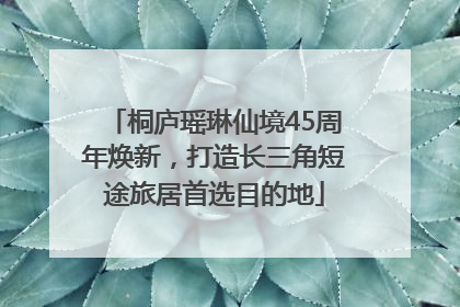 桐庐瑶琳仙境45周年焕新，打造长三角短途旅居首选目的地