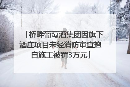桥畔葡萄酒集团因旗下酒庄项目未经消防审查擅自施工被罚3万元