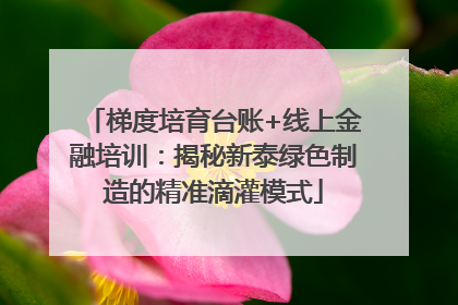 梯度培育台账+线上金融培训：揭秘新泰绿色制造的精准滴灌模式