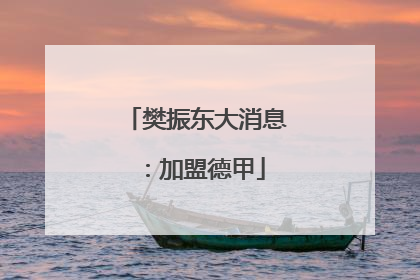 樊振东大消息：加盟德甲