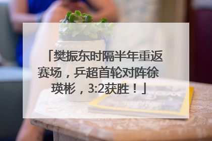 樊振东时隔半年重返赛场，乒超首轮对阵徐瑛彬，3:2获胜！