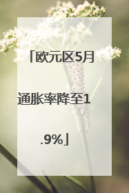 欧元区5月通胀率降至1.9%