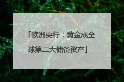 欧洲央行：黄金成全球第二大储备资产