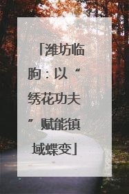 潍坊临朐：以“绣花功夫”赋能镇域蝶变
