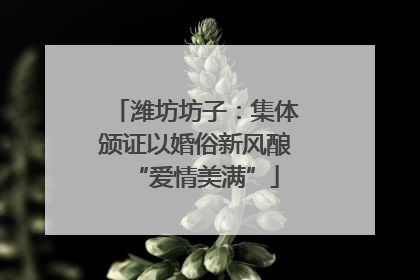 潍坊坊子：集体颁证以婚俗新风酿“爱情美满”