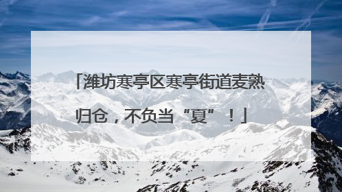 潍坊寒亭区寒亭街道麦熟归仓，不负当“夏”！