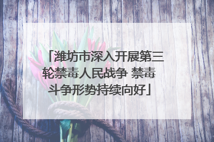 潍坊市深入开展第三轮禁毒人民战争 禁毒斗争形势持续向好