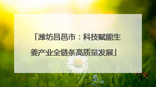 潍坊昌邑市：科技赋能生姜产业全链条高质量发展