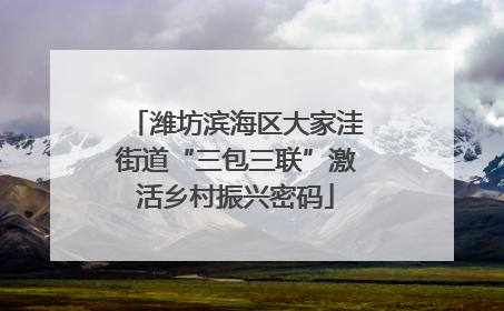 潍坊滨海区大家洼街道“三包三联”激活乡村振兴密码