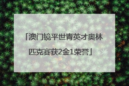 澳门镜平世青英才奥林匹克赛获2金1荣誉