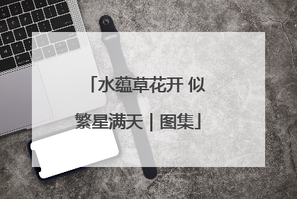 水蕴草花开 似繁星满天｜图集