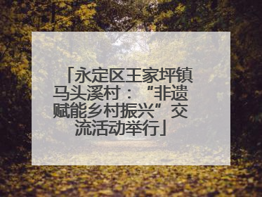 永定区王家坪镇马头溪村：“非遗赋能乡村振兴”交流活动举行